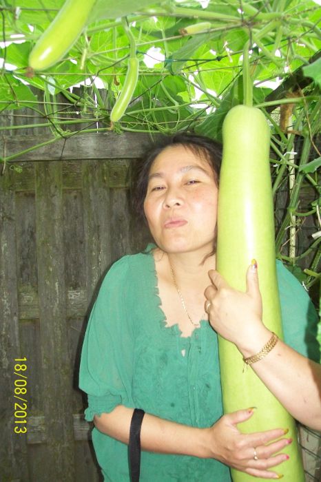 100_7561.JPG