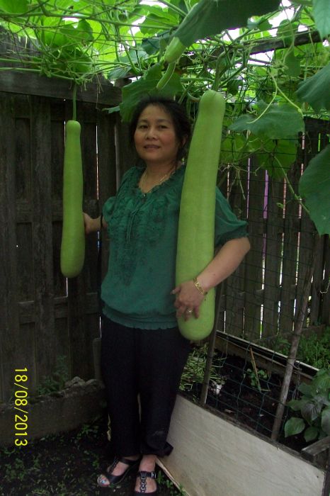 100_7564.JPG