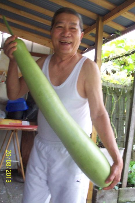 100_7748.JPG
