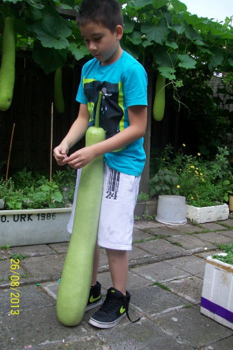 100_7749.JPG