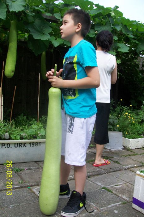 100_7750.JPG