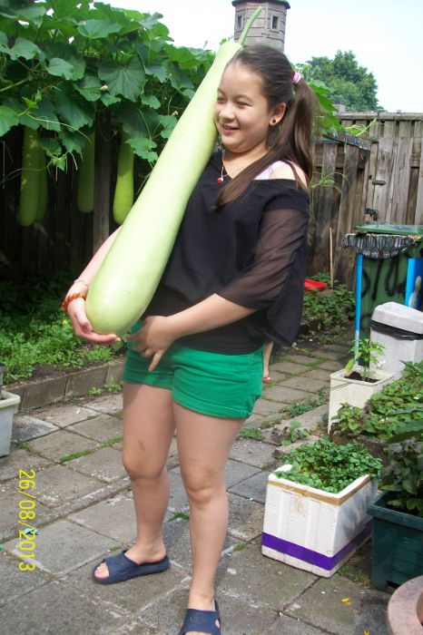 100_7754.JPG
