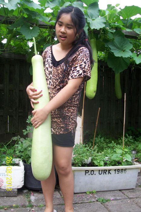 100_7763.JPG
