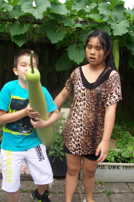 100_7768.JPG
