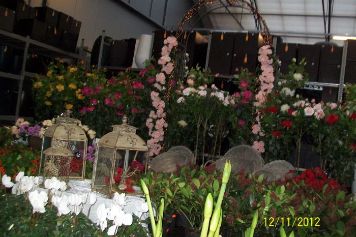 100_8654.JPG