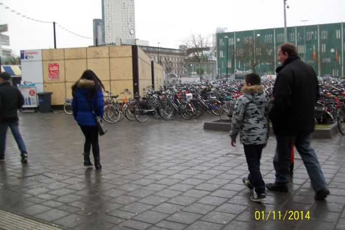 100_9011.JPG