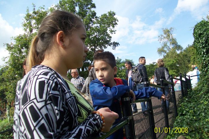 101_4009.JPG